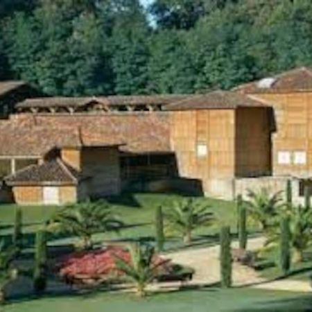 Maison Avec Piscine Proche Des Thermes Mauleon-D'armagnac Bagian luar foto